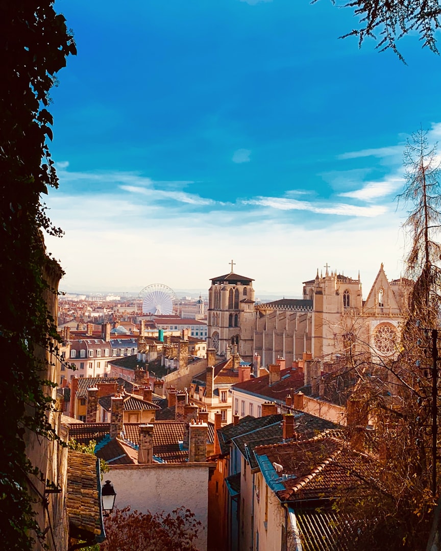 ransaxe decines demenagement lyon